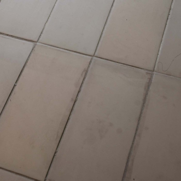 Sfeerbeeld Cottocolors 2